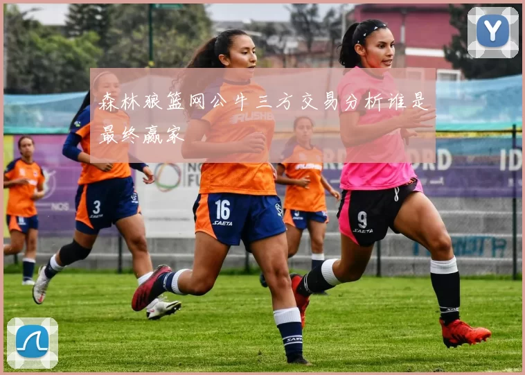 森林狼篮网公牛三方交易分析谁是最终赢家